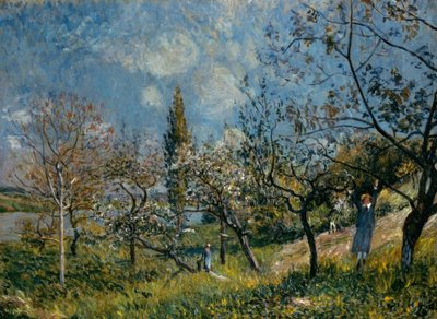 Huerto en primavera de Alfred Sisley
